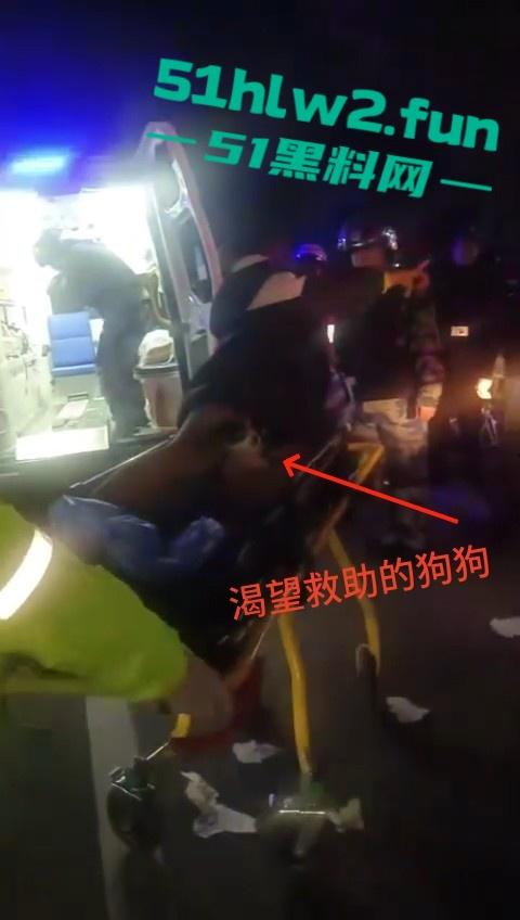 浙江丹州紫竹山庄女子【人兽与狗】性交,狗鸡巴卡阴道里面出不来只能送医救治,社死现场视频。-8