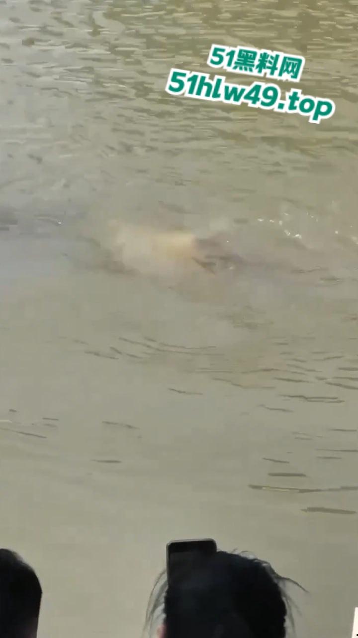 湖北两男子打赌激将法，逼跳河游泳一人溺亡，律师城明知对方不会游泳涉嫌过失致人死亡罪。-3