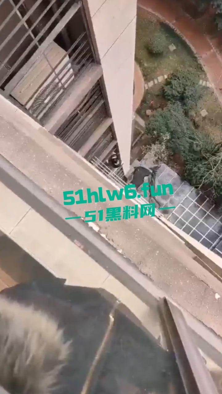 山东瓜友实拍一小孩突发奇想,跨过窗户跑到空调机外墙顺着栏杆从高层爬下去,真是初生牛犊不怕虎啊。-4