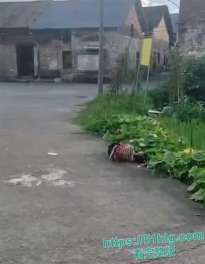 【耒阳】街头砍人案监控流出 31岁段某超疯狂砍人 被砍孩童哭喊救命 多人倒地丧命 画面恐怖血腥 胆小勿入-2