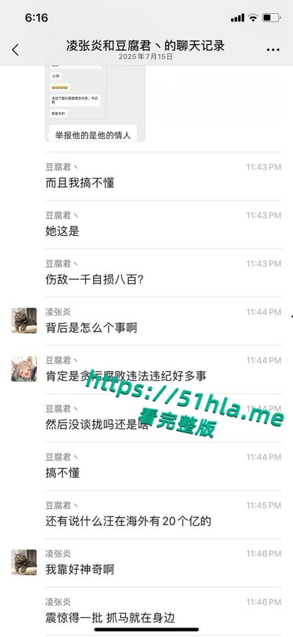 江苏省太仓市委书记【汪香元】落马,被爆曾包养43个情人,捧红明星王有晴,睡团委书记汪倩倩一手打造村官后宫团!-16