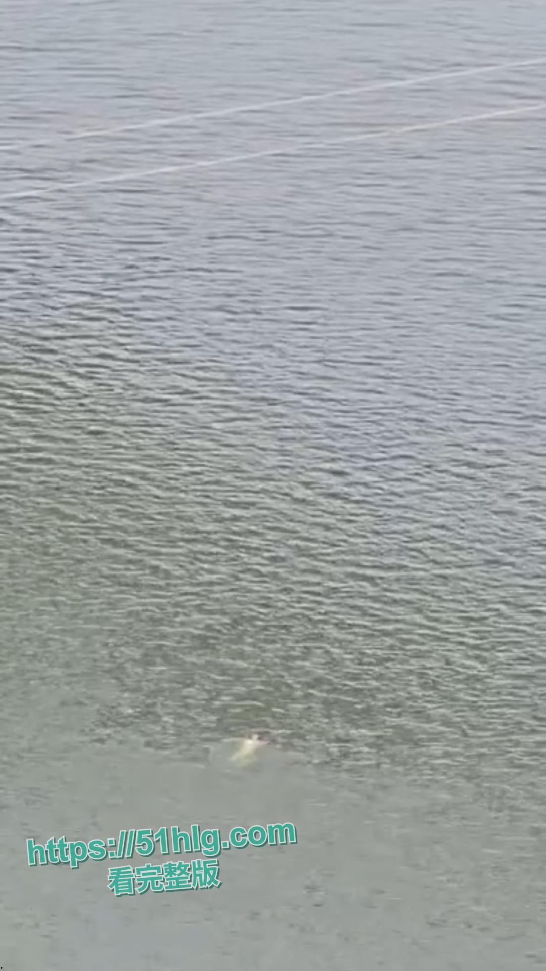 【广西】渣男教师【陶振锋】出轨害死16岁花季女生:欺骗、恶语相向、重度抑郁,自杀视频曝光,悲剧结局让人唏嘘-10