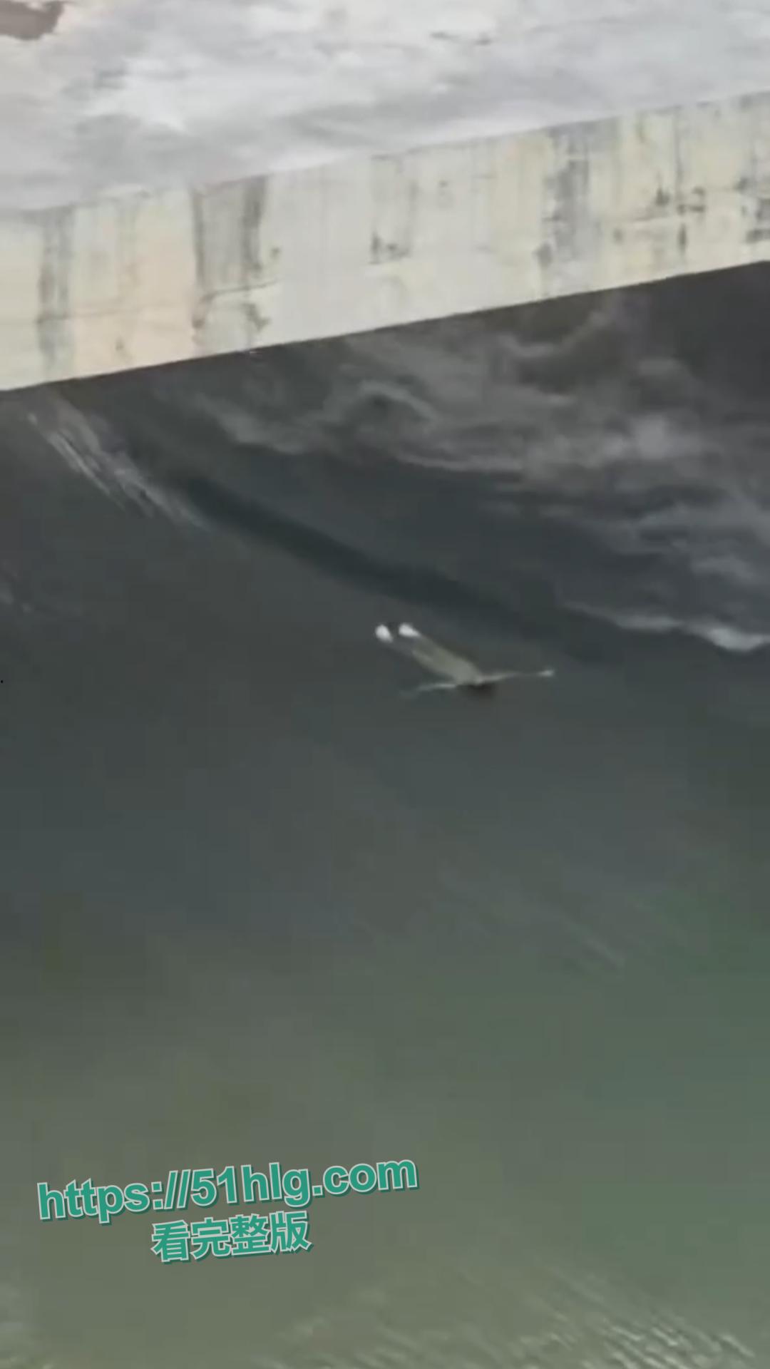 【广西】渣男教师【陶振锋】出轨害死16岁花季女生:欺骗、恶语相向、重度抑郁,自杀视频曝光,悲剧结局让人唏嘘-14