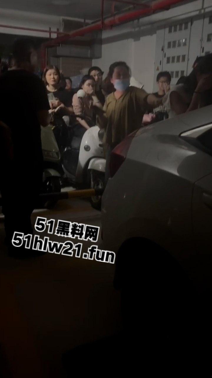 广东无耻小三女偷腥卖骚勾引男人,被原配当街扇脸暴揍,拎着头发让大家好好欣赏这张骚脸。-2