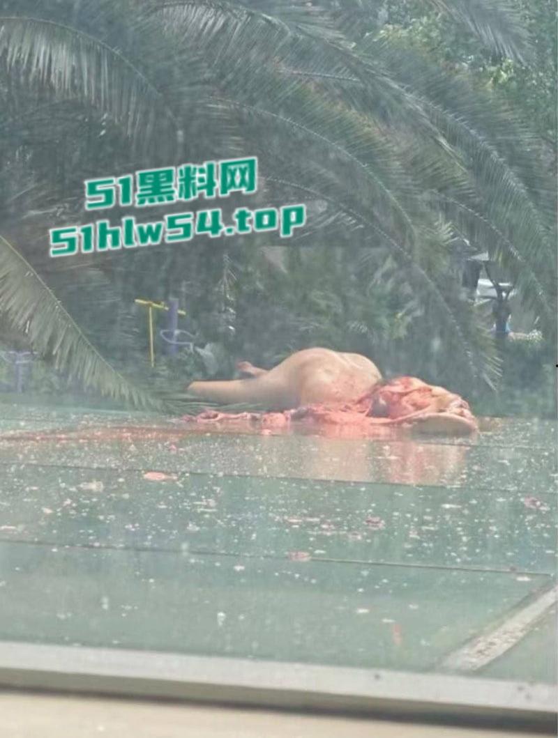 抖音热搜成都大慈寺路瓜，男子51楼坠亡碰撞到平台导致肢体离断，网传竟是杀人抛尸！-3