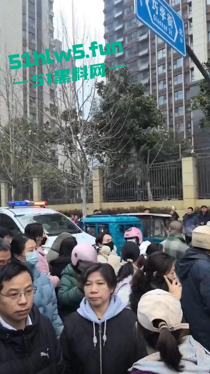合肥滨湖小学,三年级小男生遭欺辱被剪操殖器,父亲发疯手刃覇凌同学。-3