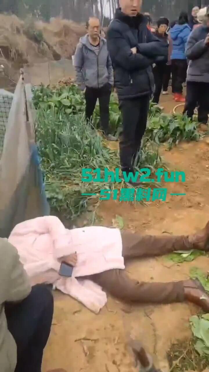 湖南衡阳李花村和添枝村互殴,数名外姓移门村民被打晕倒地不起,现场实拍流出。-3