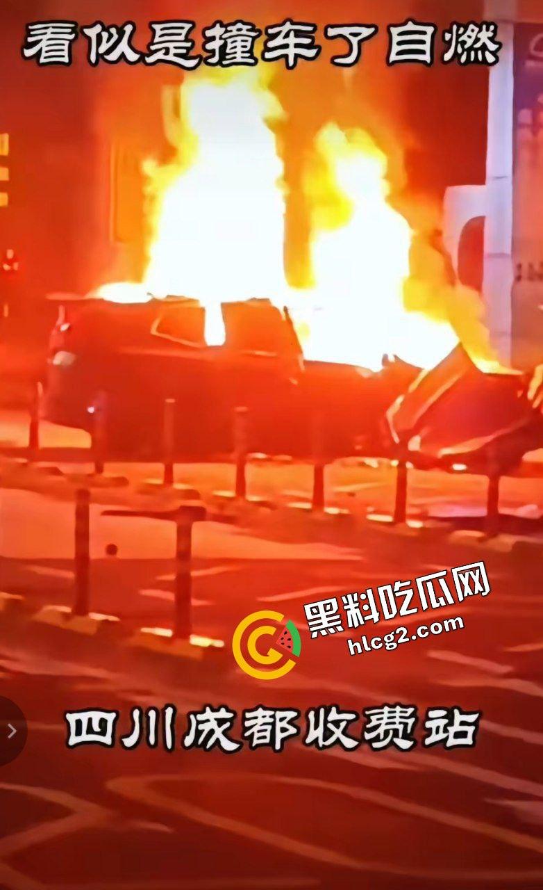 四川成都宝马新能源电车自燃事件！男子超速撞上安全岛 车毁人亡 瞬间火葬当场！-7