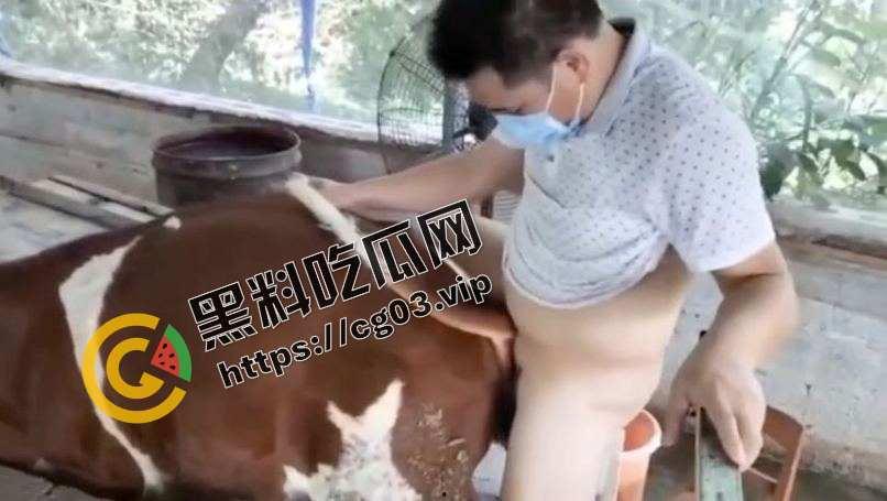 变态!一群男人强奸猪和牛 究竟是人性的扭曲还是道德的沦丧 而且越干越有劲 死活不射-4