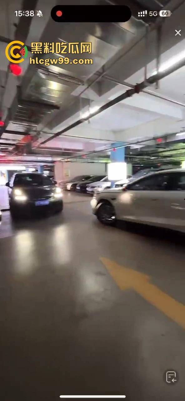 比亚迪海豹直播翻车，主播测试智能驾驶自动泊车，直接撞上车，吓得秒下播！比亚迪公关团队连夜上班？-12