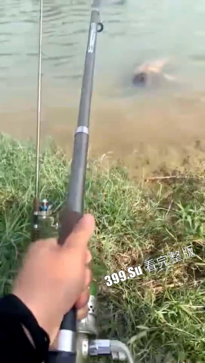 猎奇系列 人不能…至少不应该（十六）-8