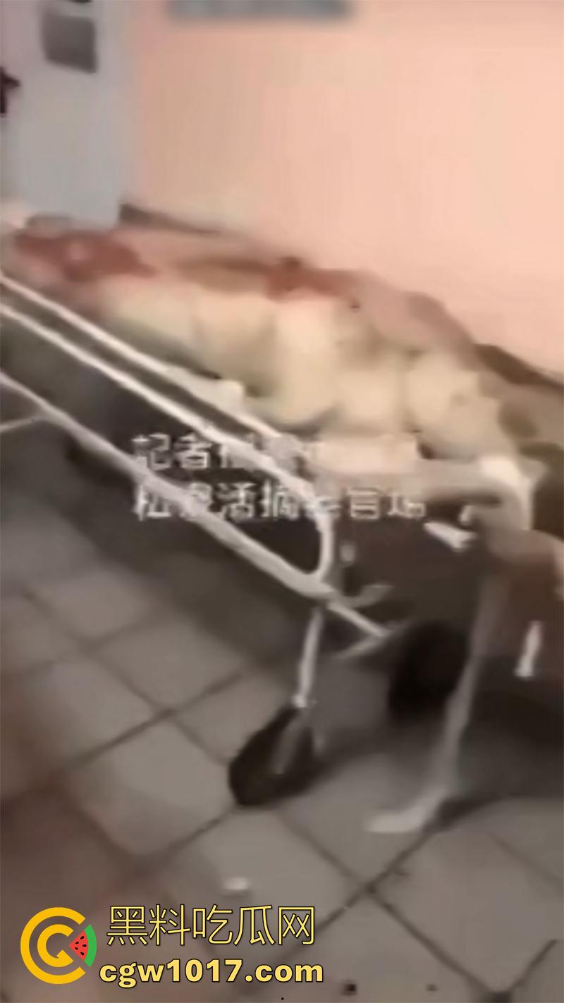 柬埔寨器官交易场实拍,猪仔狗推的最终贩卖地,难怪这里每个人都值钱,只要血型匹配有买主,立刻就会被拉走!-3