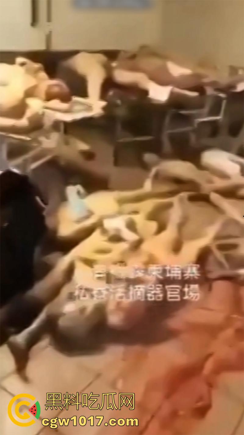 柬埔寨器官交易场实拍,猪仔狗推的最终贩卖地,难怪这里每个人都值钱,只要血型匹配有买主,立刻就会被拉走!-5