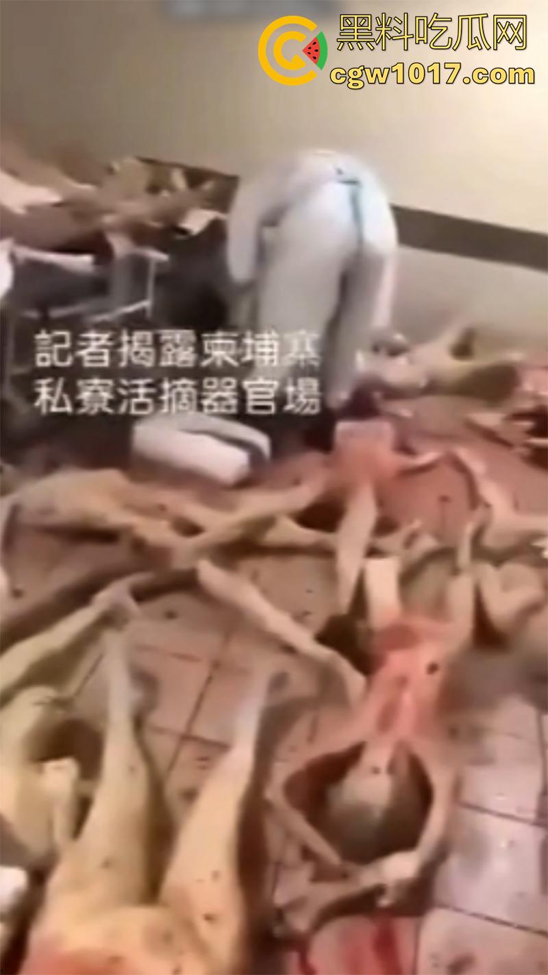 柬埔寨器官交易场实拍,猪仔狗推的最终贩卖地,难怪这里每个人都值钱,只要血型匹配有买主,立刻就会被拉走!-7