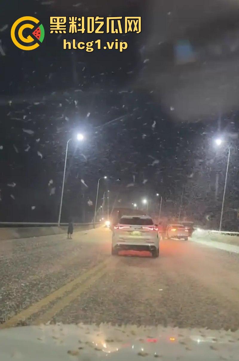 密集恐惧症慎入！湖南常德汉寿沅水大桥 飞虫像下雪一样“至少上10亿只‘’-1