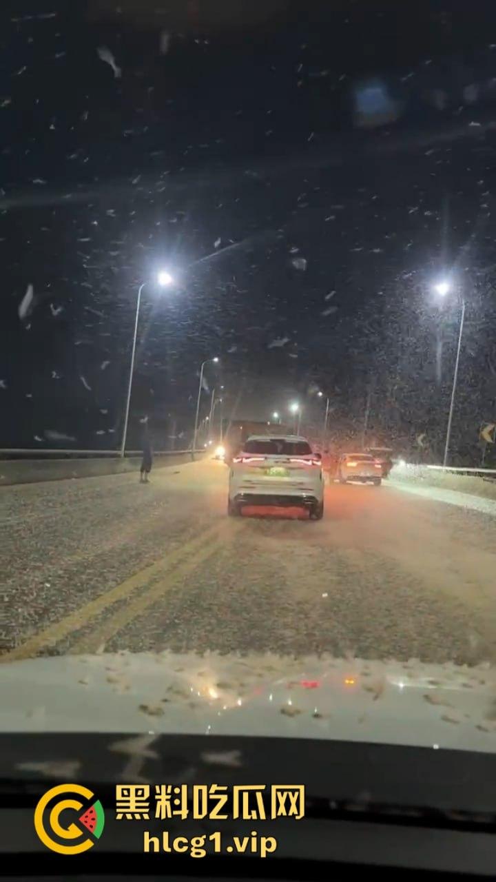 密集恐惧症慎入！湖南常德汉寿沅水大桥 飞虫像下雪一样“至少上10亿只‘’-8