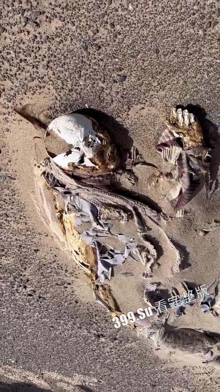 罗布泊干尸事故！罗布泊 4 人遇难遗体碳化 领队不专业走错路 水源储备不充足 人找到已晒成干尸 （现场无码视图）-11