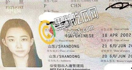 山东巨乳留学生 大嫚儿 丰乳肥臀细腰标准模特身材 尤其是一对大奶子是真的圆 天生好炮架！-1