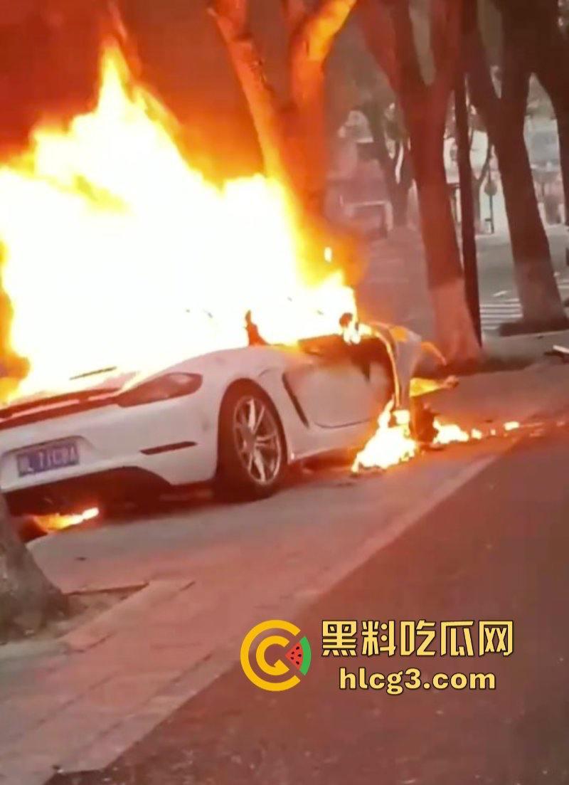 树：我没有动手啊！浙江一辆保时捷撞电动车后撞树起火驾驶人死亡！-5