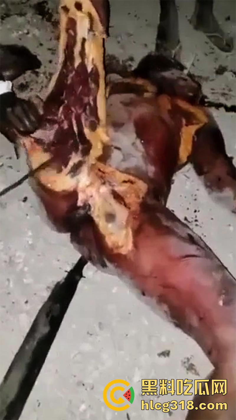 非洲大奶黑妹被砍断双手,棍棒砸扁头杀害后,被一群男子当场分尸割肉,还有人拿棍捅逼,真变态啊!-7