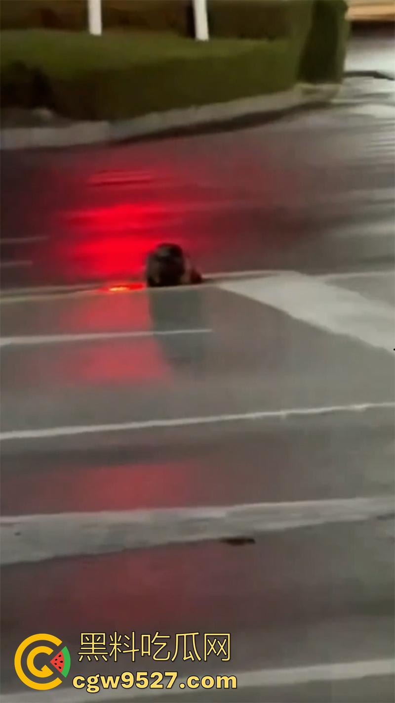 山东恐怖杀人现场，诸城东外环润家园附近，一男子杀人后，将其头颅砍下来，直接放在马路中间！-5