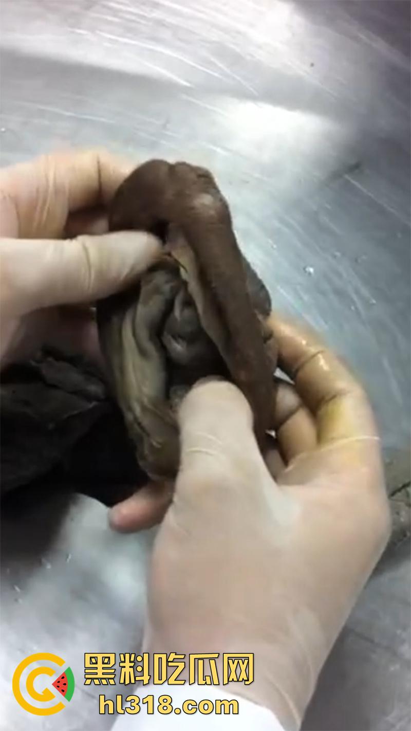 真实西藏密宗法器“肉莲花”，少女被108罗汉轮奸后，五毒侵蚀九蒸九炼，活体切割才可肉莲大成！-2