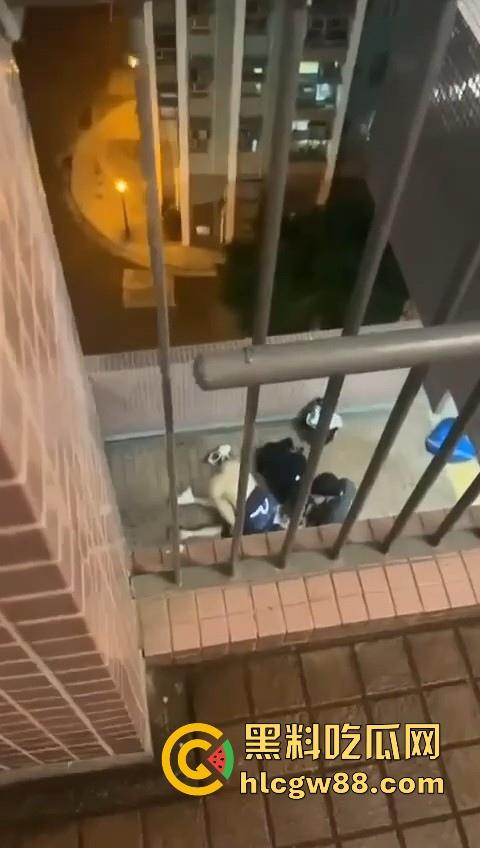 热门事件！香港屋苑平台3P野战偷拍！女孩被2男前后夹击操的热火朝天 跪地被猛插口爆刺激！-4