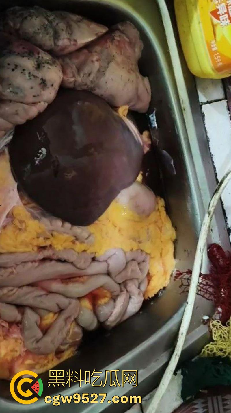 暗网越南屠夫案，男子自愿被杀，多角度砍头血如泉涌，干脆利落几秒剁头，现场原视频流出！-7