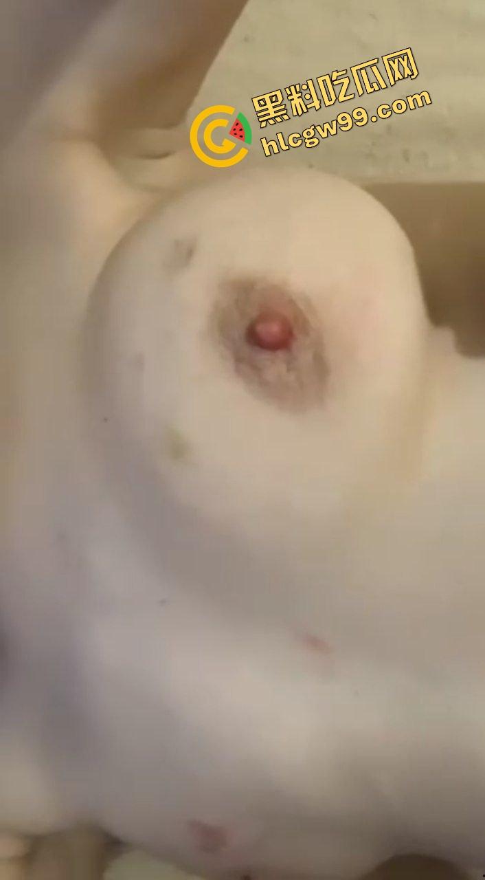 江苏极品E奶大雷少妇骚鸡,尝试猎奇刺激玩法虐乳!暴力夹乳针头注射奶头烟头烫咪咪!诠释何为调教!-5