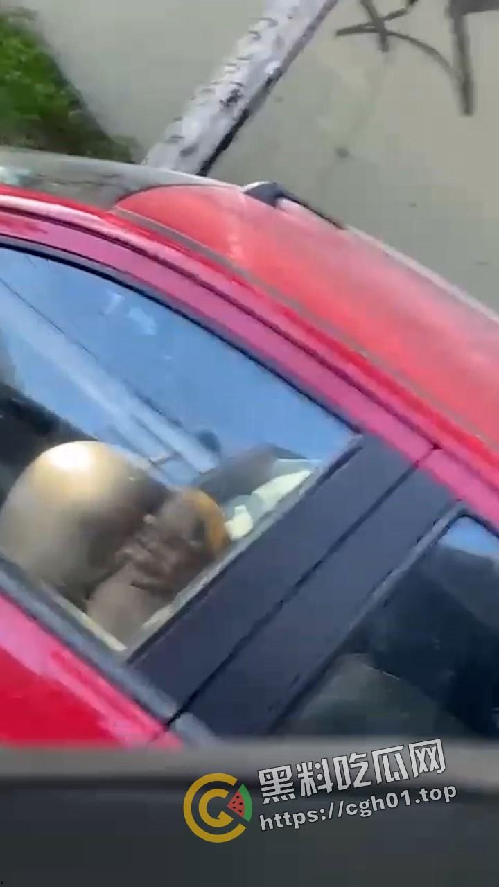 标题 外网疯传 老外诚会玩!等红绿灯抠个逼 扣的美鲍鱼抽搐喷水 师傅开个门 我也想上车-3