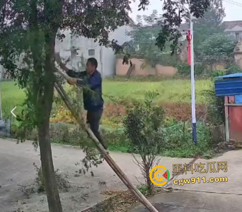 大爷作死上树砍枝惨摔内伤!年过半百爬木梯伐树,树枝滑落砸翻落地,这才是真伐木累,痛到怀疑人生!-1