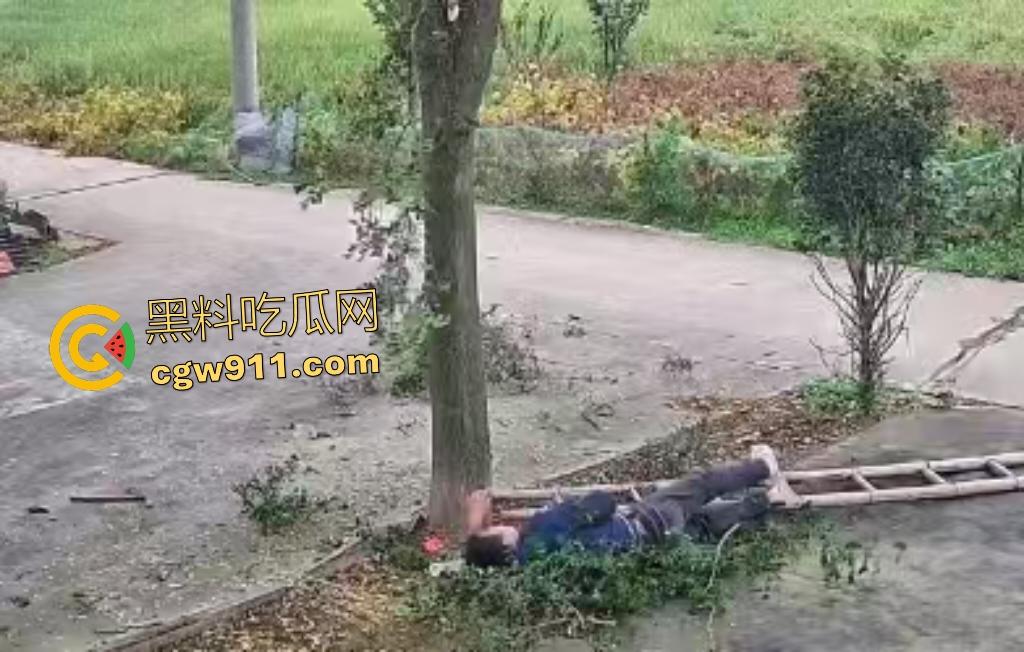 大爷作死上树砍枝惨摔内伤!年过半百爬木梯伐树,树枝滑落砸翻落地,这才是真伐木累,痛到怀疑人生!-4