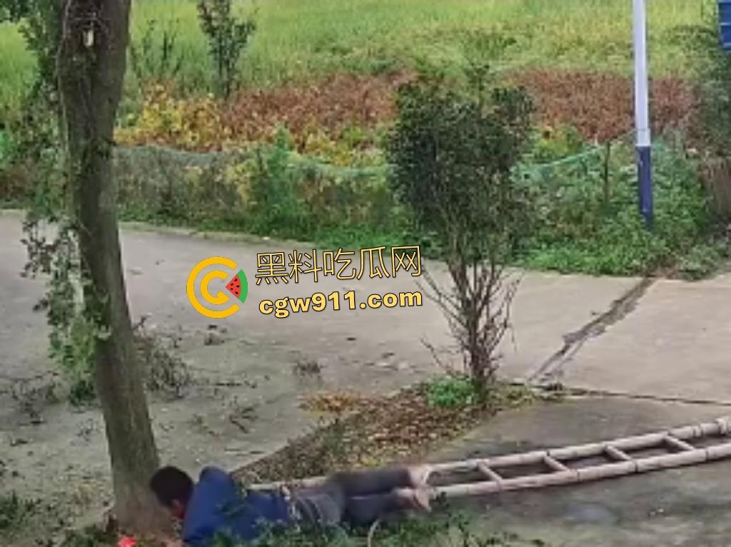 大爷作死上树砍枝惨摔内伤!年过半百爬木梯伐树,树枝滑落砸翻落地,这才是真伐木累,痛到怀疑人生!-5