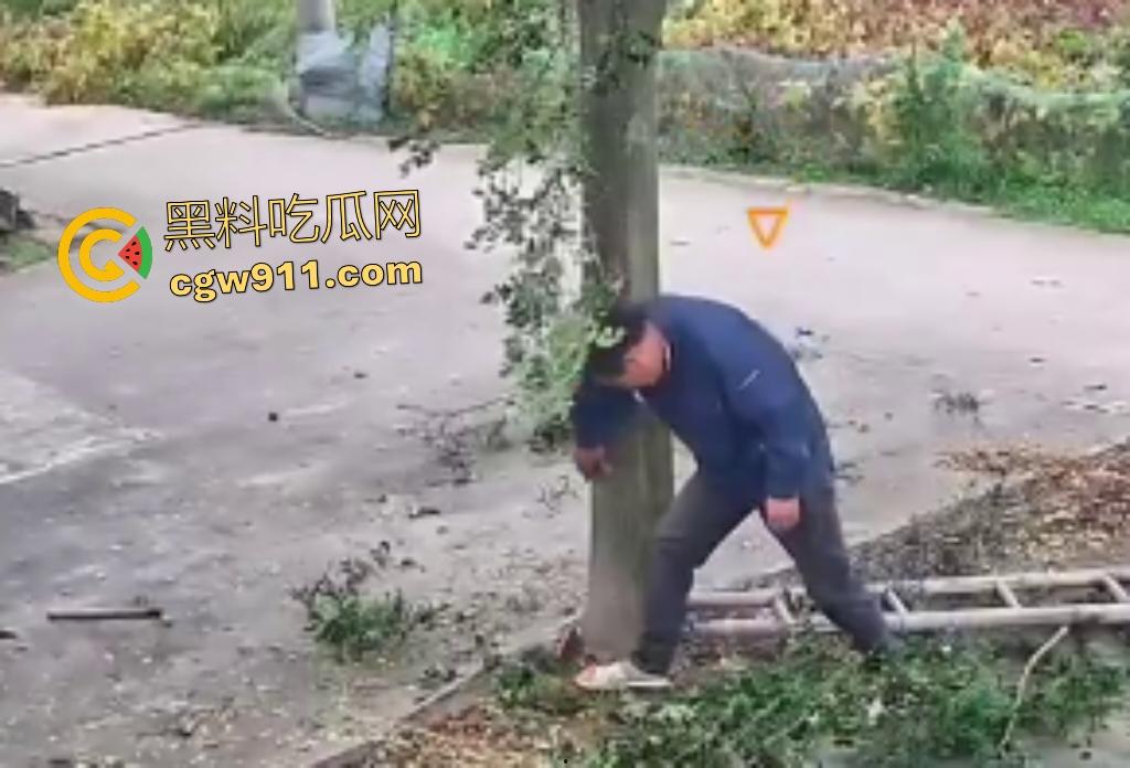 大爷作死上树砍枝惨摔内伤!年过半百爬木梯伐树,树枝滑落砸翻落地,这才是真伐木累,痛到怀疑人生!-7