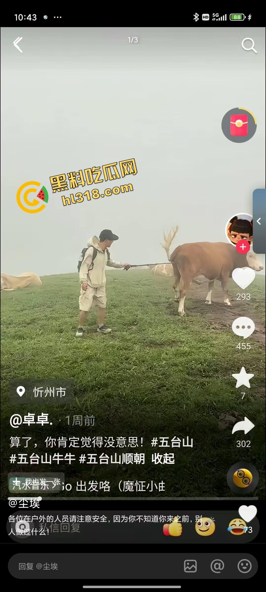 抖音爆笑热瓜，小伙拿登山杖挑牛菊花，没想到反被牛摁地摩擦，这下知道什么叫牛气冲天了吧！-4