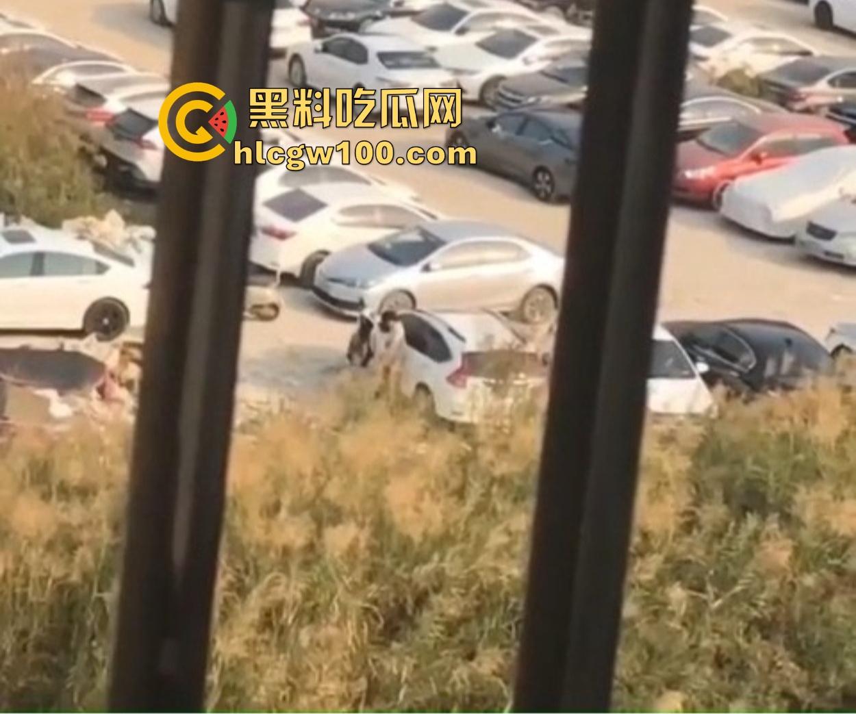 小情侣停车场光着屁股现场造人，野战玩得飞起，邻居拍视频爆出裤子都没脱利索就开干，这也太饥渴了吧！-10