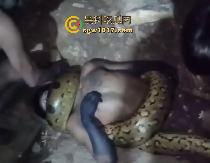 印度醉汉被巨蟒缠绕绞杀，骨骼咔咔断裂脸黑如炭，俩亲兄弟把蟒蛇抬走说喝点恒河水能活，这都黑了还能救？-3