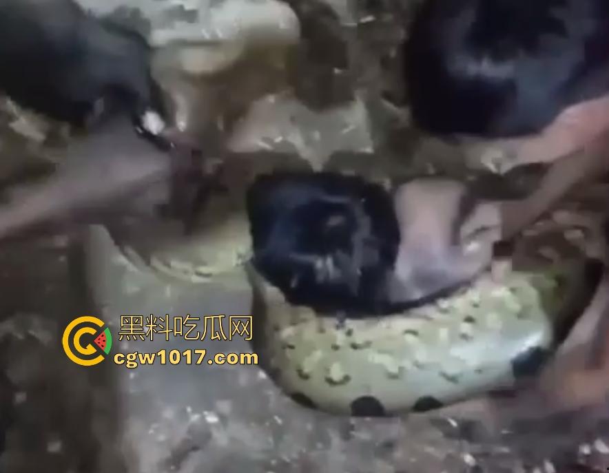 印度醉汉被巨蟒缠绕绞杀，骨骼咔咔断裂脸黑如炭，俩亲兄弟把蟒蛇抬走说喝点恒河水能活，这都黑了还能救？-6