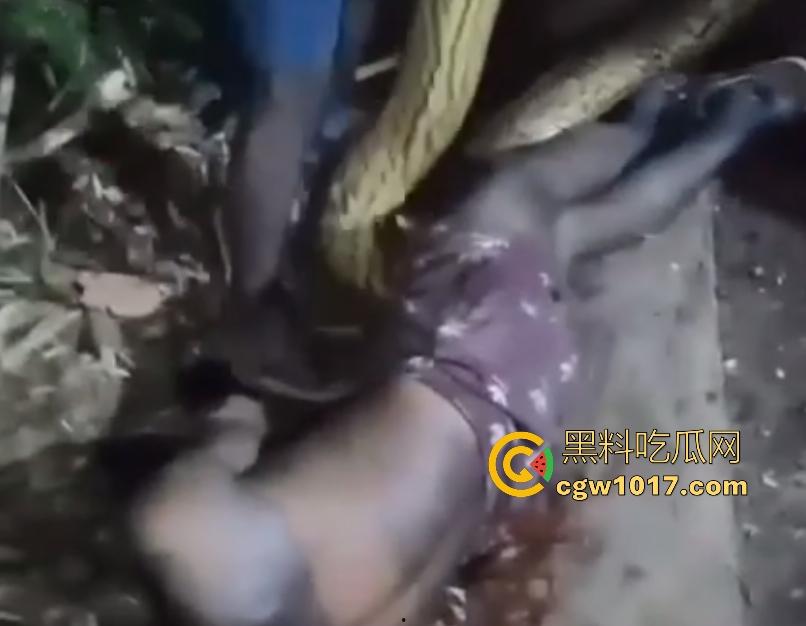 印度醉汉被巨蟒缠绕绞杀，骨骼咔咔断裂脸黑如炭，俩亲兄弟把蟒蛇抬走说喝点恒河水能活，这都黑了还能救？-7
