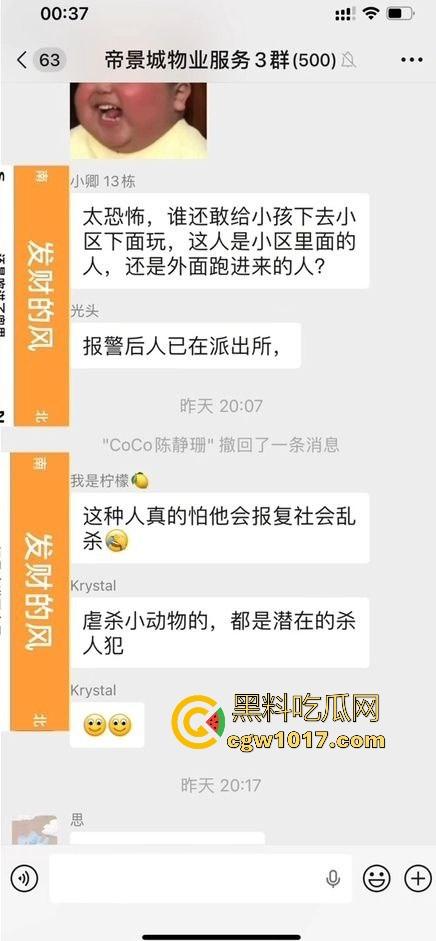 广东揭阳缔景城小区有人虐猫，深夜拿弓箭弓弩射小区小猫咪，在小区乱射箭，如入无人之境，今天敢射猫明天就敢射人！-2