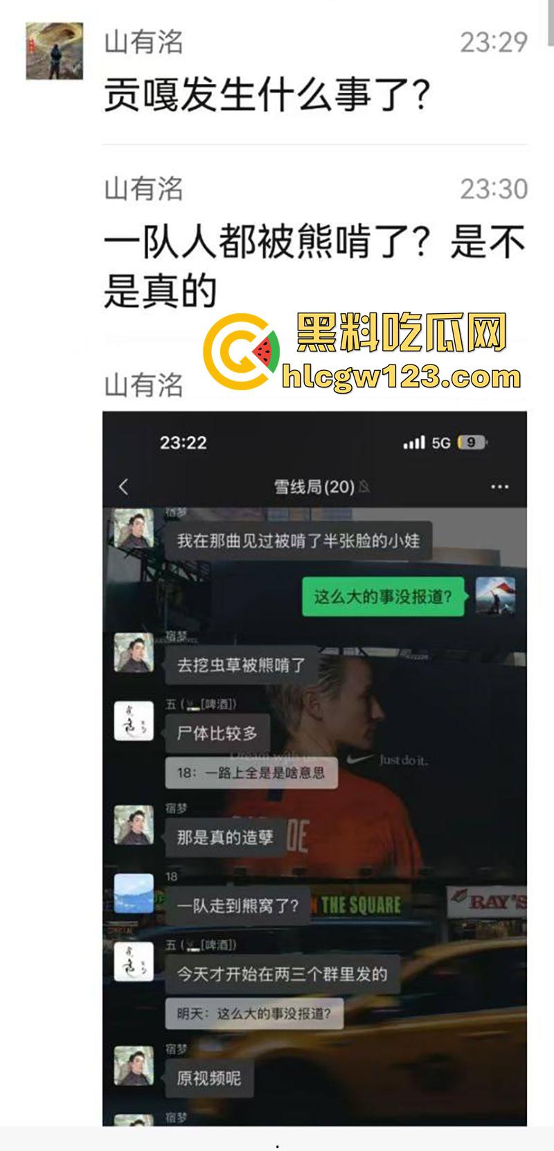 西藏贡嘎藏马熊屠杀人类，帅哥随旅行团西藏游，一行人挖虫草误入熊窝，头骨被咬碎无一生还！-1