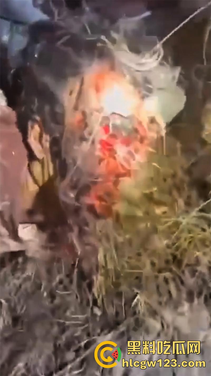 西藏贡嘎藏马熊屠杀人类，帅哥随旅行团西藏游，一行人挖虫草误入熊窝，头骨被咬碎无一生还！-12