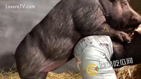 变态人兽！二师兄和哮天犬把铁扇公主给强奸了 好恶心 再看一遍-3