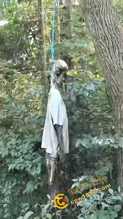 四明山中骑行，摩友巧遇恐怖干尸，惊恐报警，警调挖机移尸，骇人现场，让人看的心跳加速！-5