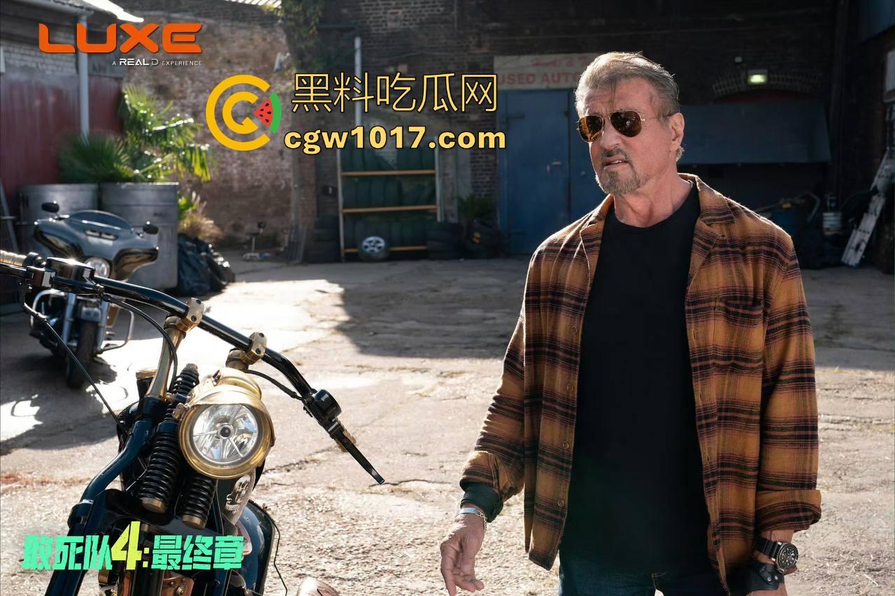 好莱坞经典硬汉电影【敢死队4：最终章】迎来谢幕之战，这个曾集结史泰龙、施瓦辛格的最后一部续作高清上映！-6