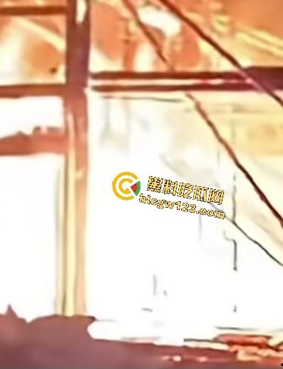 海地“绝命毒师”杀黑帮40人？掺杀虫剂当馅饼毒杀灭共生帮，自首竟没被抓还被政府奖励钱！-10