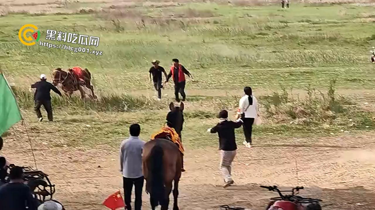 河南郑州阳市黄河桃花峪大桥一马场有小孩头朝下被马疯狂拖行看着属实揪心阿-1