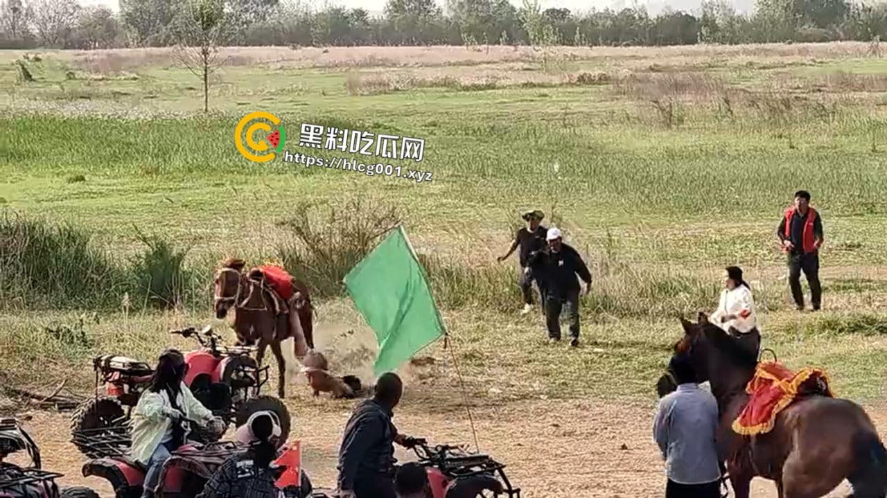 河南郑州阳市黄河桃花峪大桥一马场有小孩头朝下被马疯狂拖行看着属实揪心阿-2