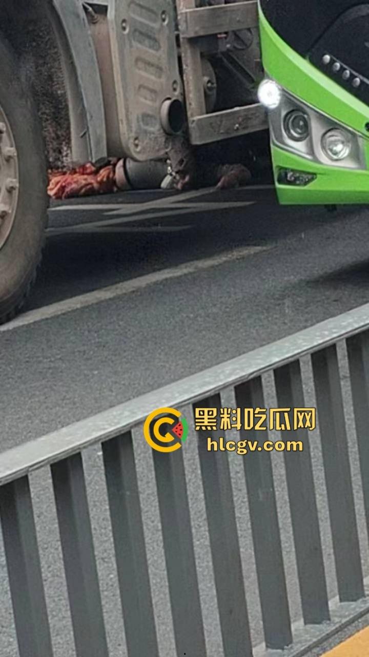 自贡张家沱隧道口工程车酿惨祸一妇女被大型工程车碾压后场景惊心！-2