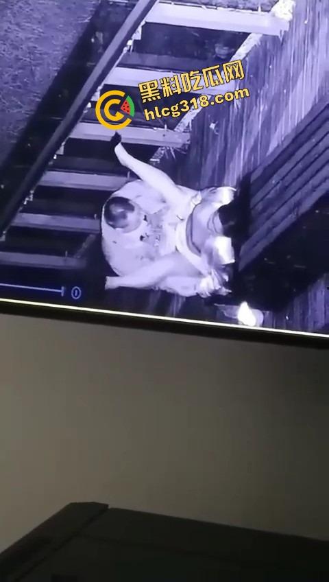 杭州公园长椅野战全程被监控拍下，两人全程激烈拉伸还换姿势，保安看回放笑抽了，上夜班果然有福利！-6